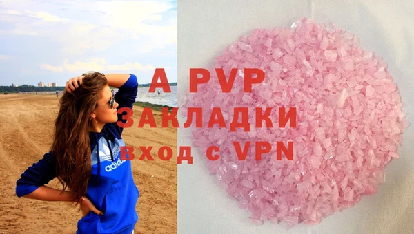 PSILOCYBIN Горнозаводск