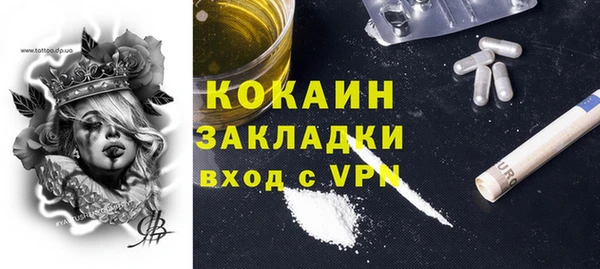 PSILOCYBIN Горнозаводск
