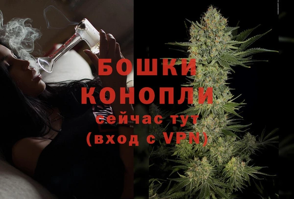 стафф Гусь-Хрустальный