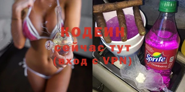 2c-b Горно-Алтайск