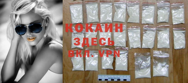 2c-b Горно-Алтайск