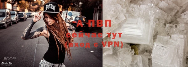 2c-b Горно-Алтайск
